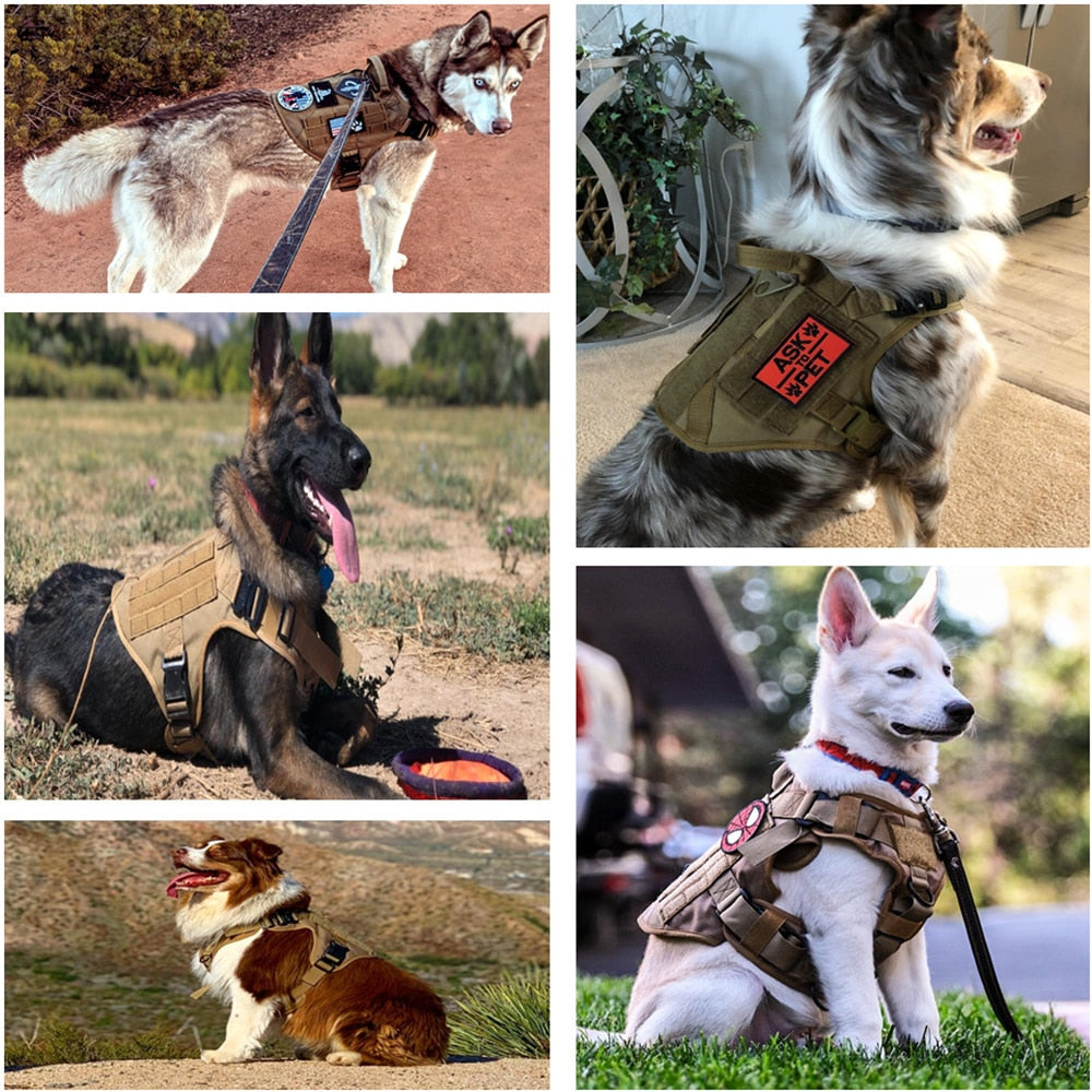 Tactical Dog Harness Pet German Shepherd K9 Malinois Training Vest Dog