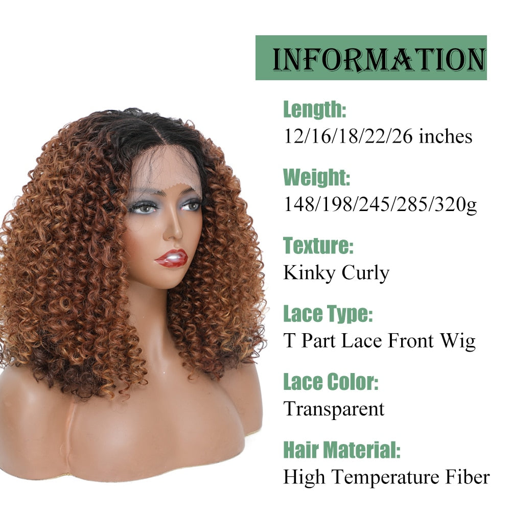 X-TRESS Ombre Brown Kinky Curly Lace Front Wigs Synthetic With Baby Hair 18 Inch Middle Part Daily Lace Wigs