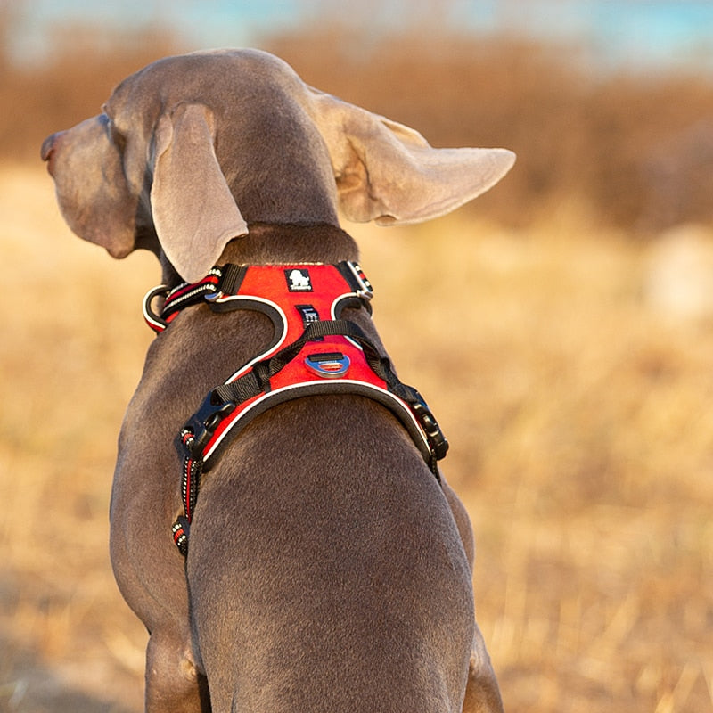 Truelove Pet Reflective Nylon Dog Harness No Pull Adjustable Medium Large Dog Vest Safety Vehicular Lead Walking Running