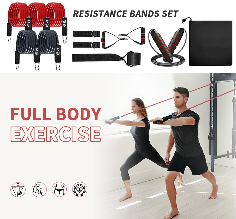 Workout Bar Fits All Resistance Bands with Clip Portable  Exercise Bar for Fitness Home Gym Workout Full Body